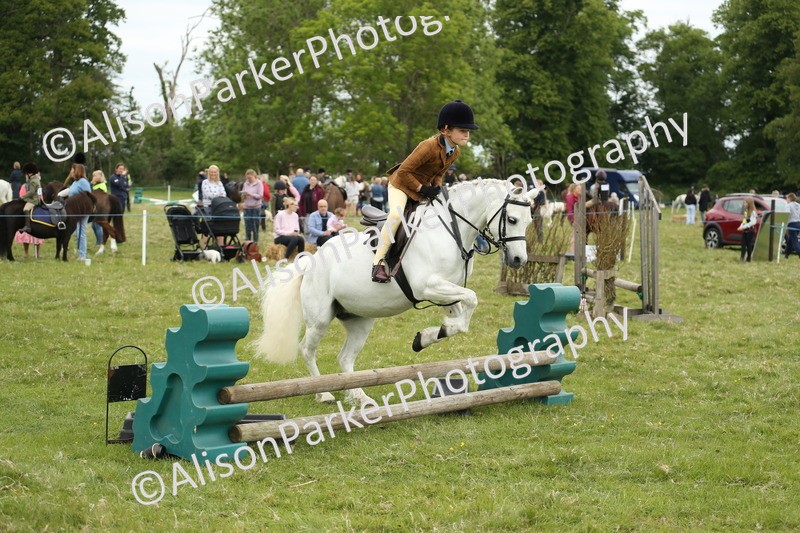 20250517-1095 - Class 21 - Novice Working Hunter