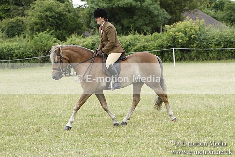 BVR160717-356 - Ring 3 BVRC Show 16/07/17