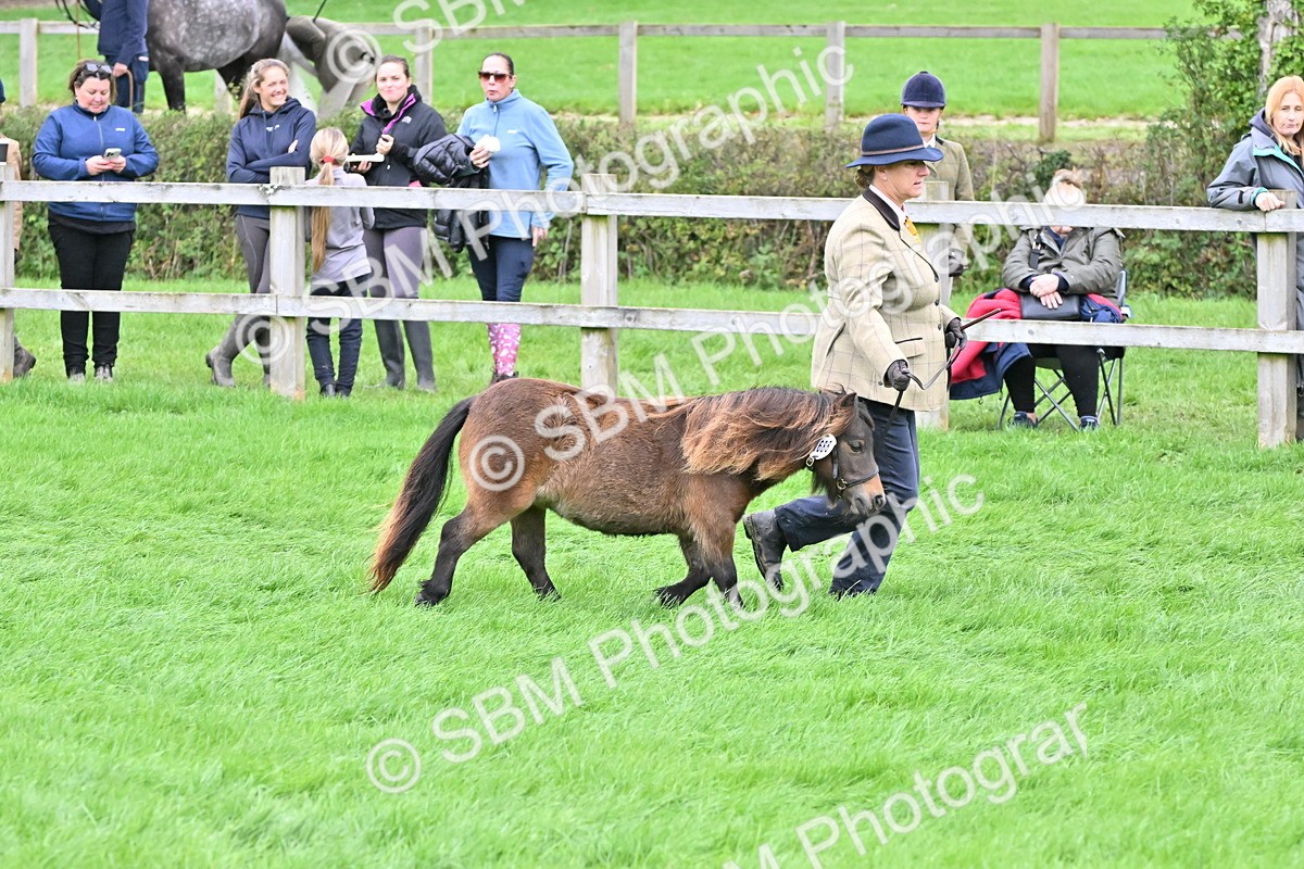 SBM_60936 - S48 - Mountain & Moorland In Hand Small Breeds