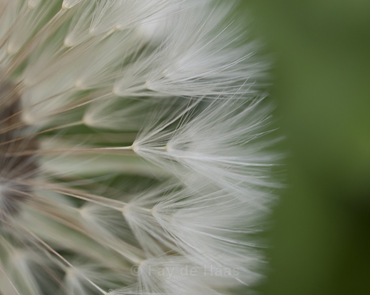  - Nature's Wonders