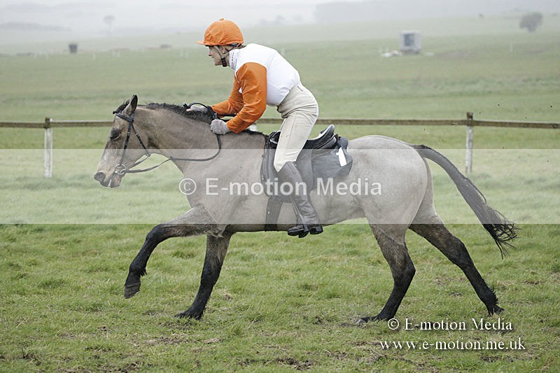 PtP 150320 0093 - New Forest Point-to-Point Larkhill 15/03/20