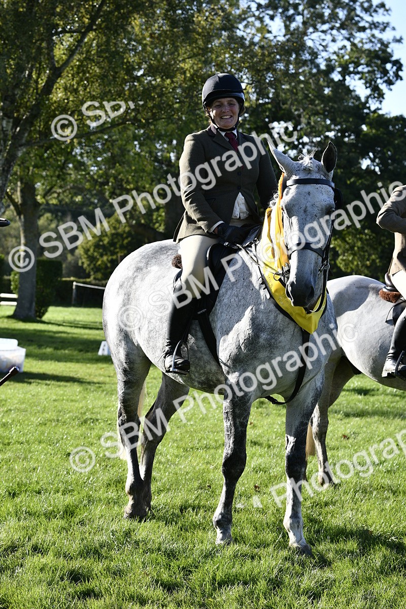 SBM_52258 - S35 - Working Hunter & Working Show Horse