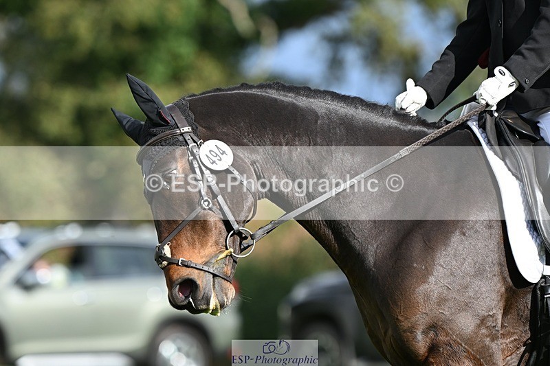 231020-140615-10550 - 494-WEST.FIELD.REBEL-Laura.Bilham-DR