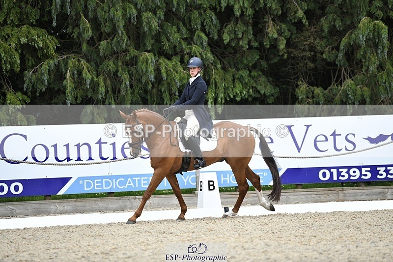 230525-144552-03176 - 323-CHESTNUT_BOBBY-Molly_Fletcher-WEDTrotUp+DR