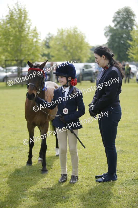 20260426-1886 - Class 7 - Pony Judge Would Most Like To Take Home