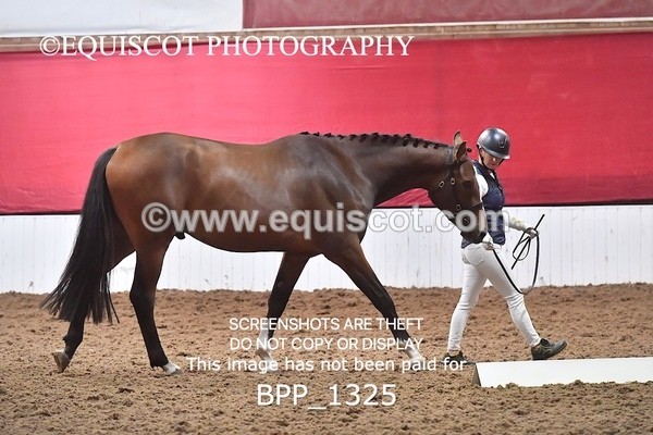 BPP_1325 - MORNING 9AM - 12PM