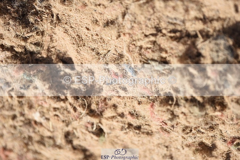 230906A-123652-00261 - Newcomers & 1.10m Open