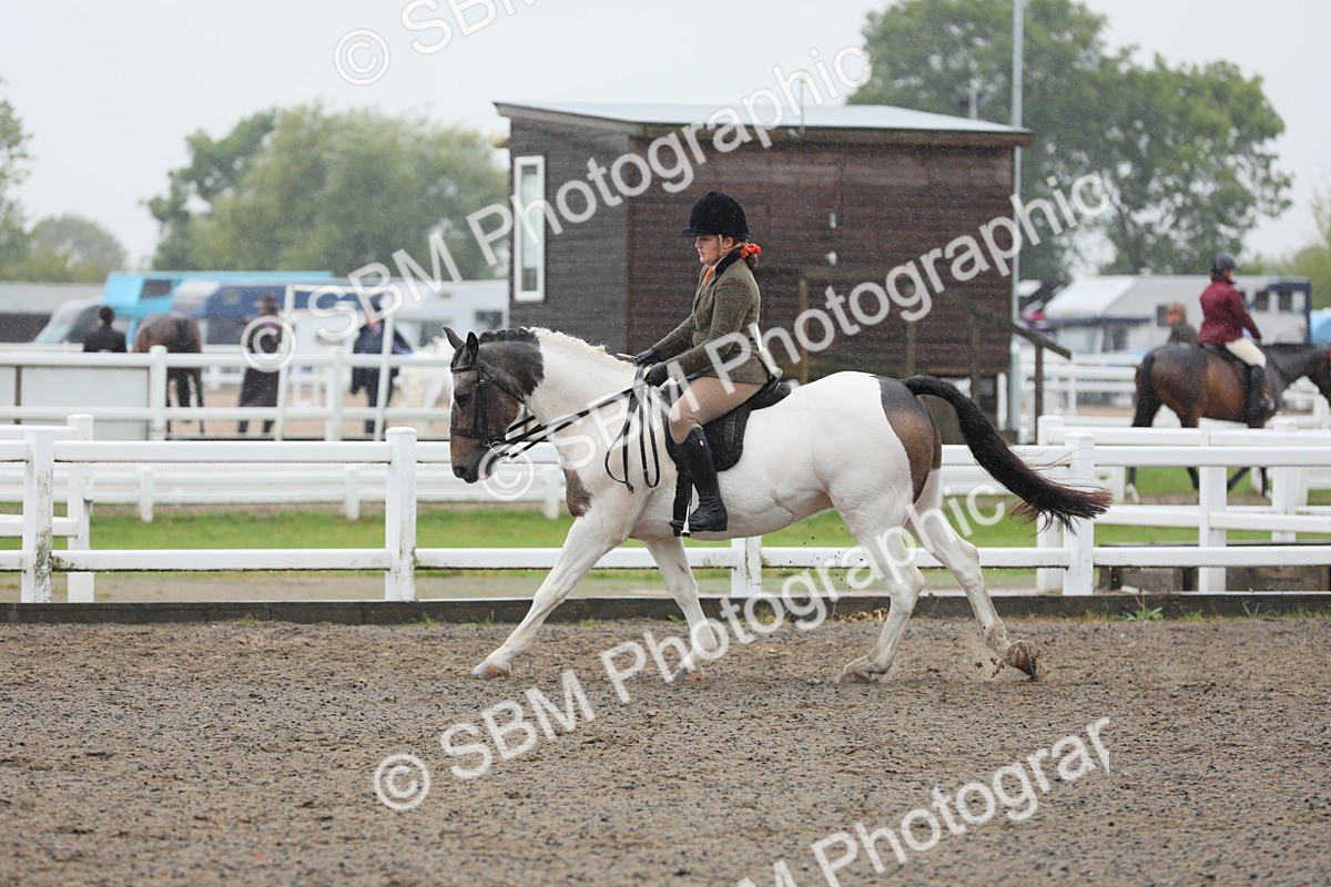 SBM_20611 - Class 804 - Ridden Veteran Pony