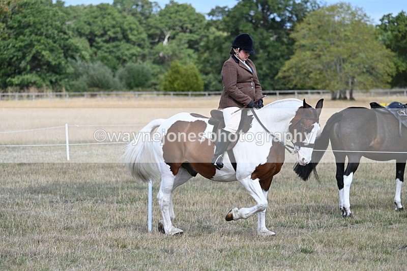 WJ7_6720 - Class 14 Ridden Coloured