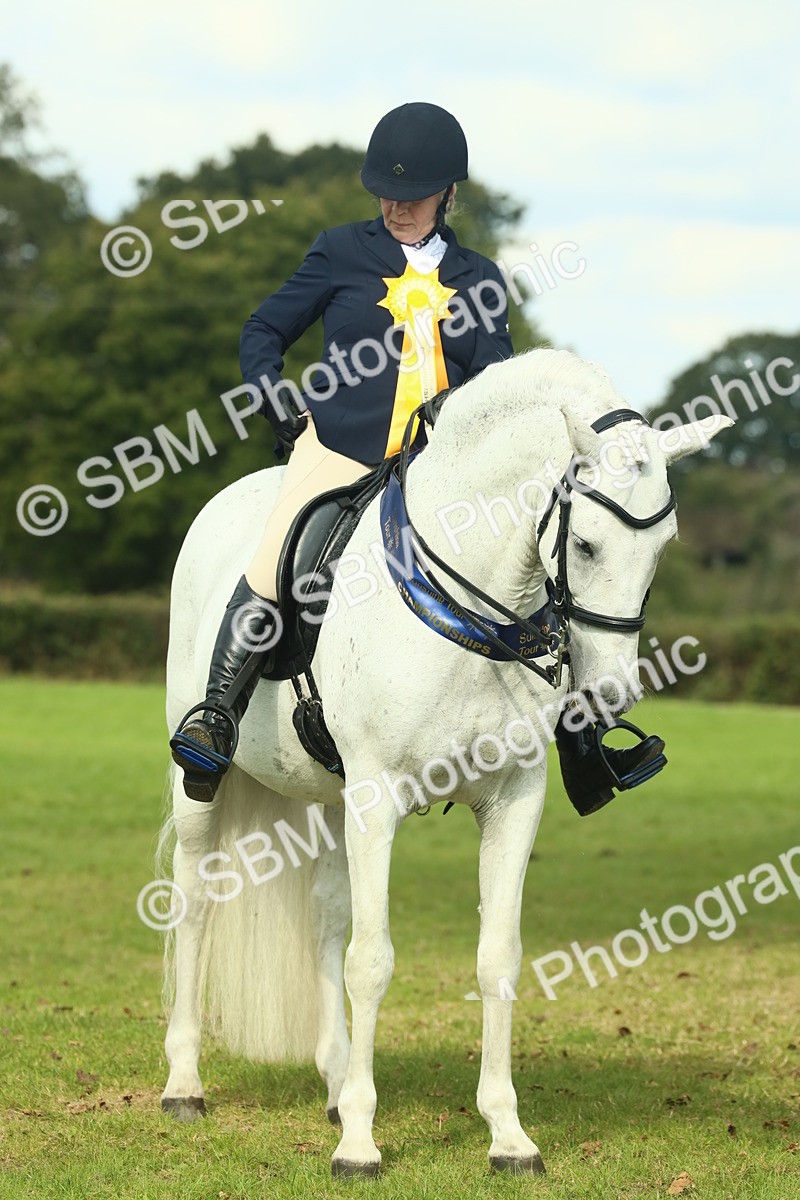 SBM_62533 - S62 - Foreign Breeds Ridden