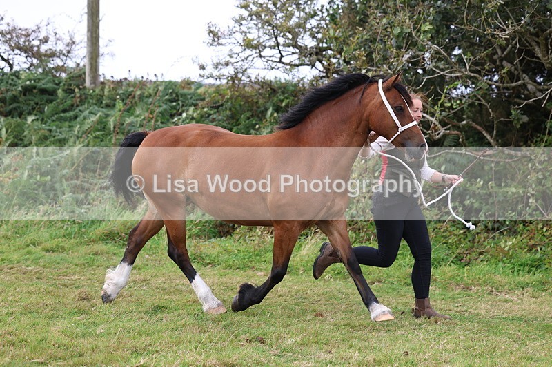 3E7A4566 - Class 16: Best Grass Kept