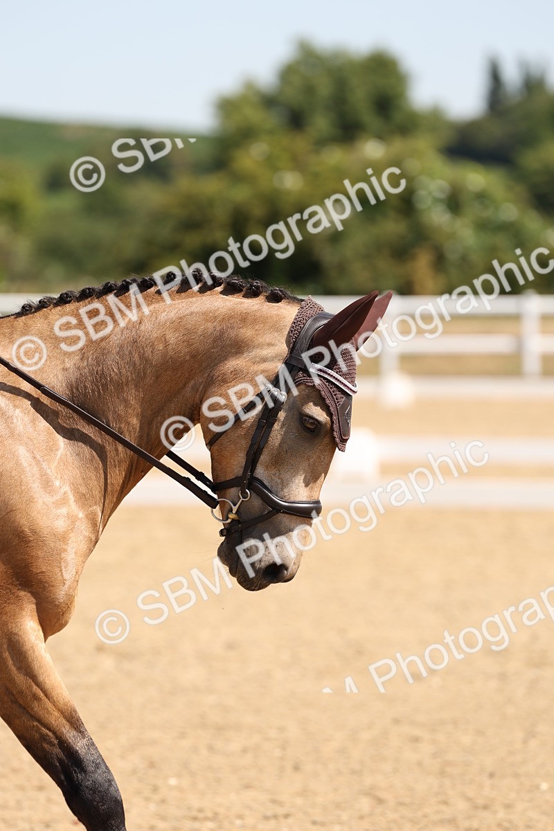 SBM_001216 - Intro 2