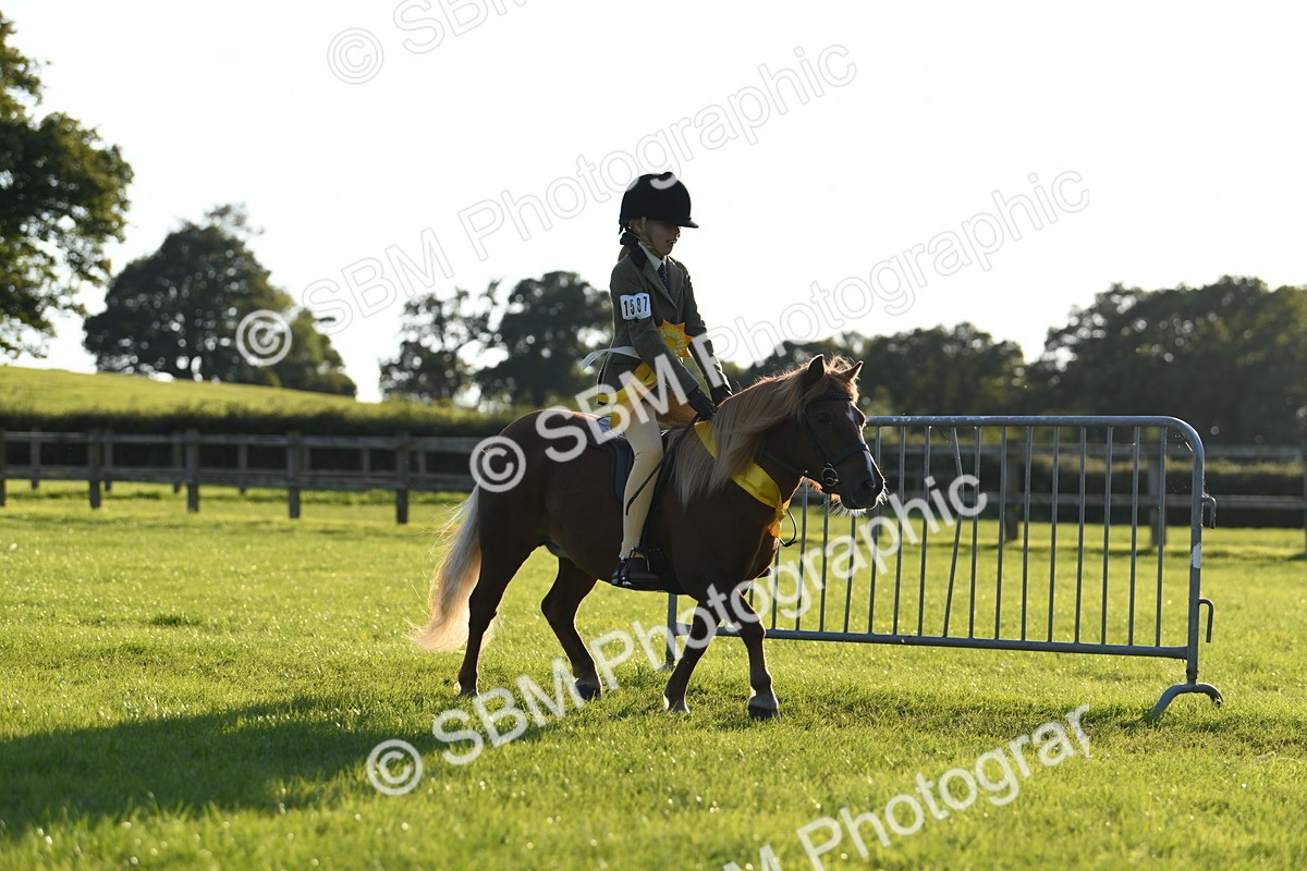 SBM_54202 - S23 - 1st Ridden Mountain & Moorland Pony