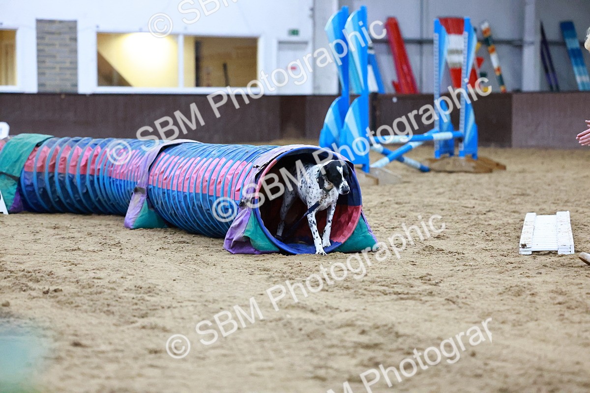 SBM_005462 - Evening Performance