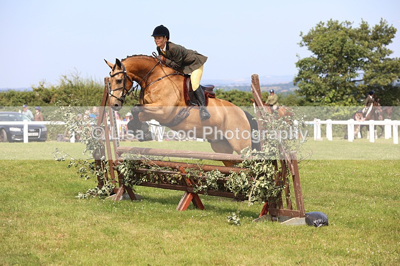 JPP_3731 - Class 23: Working Hunter 80cm