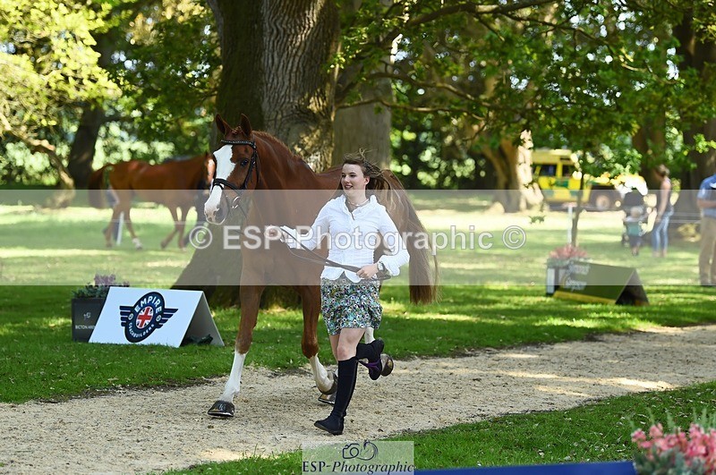 230524-160702-00690 - 208-NICO-Holly_Clarke-WEDTrotUp+DR