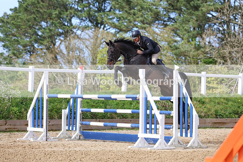 3E7A2296 - Class 8: Senior Foxhunter/1.20 open