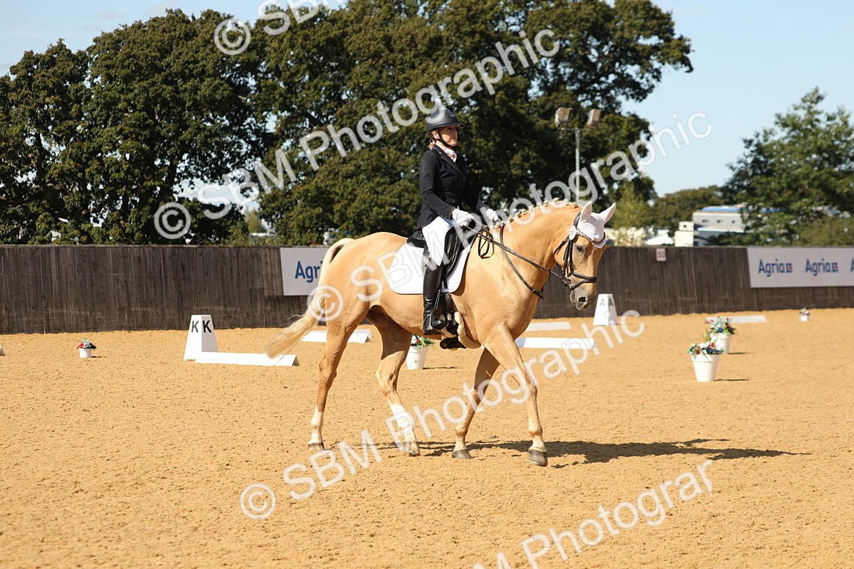 SBM_22336 - D17 - Grand Tour Championship - Novice 27
