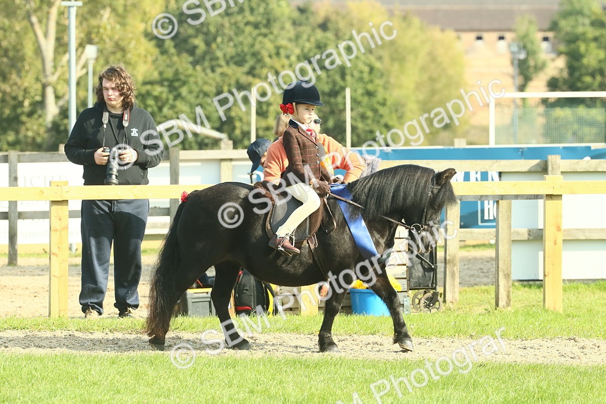 SBM_61079 - Starter Supreme Championship