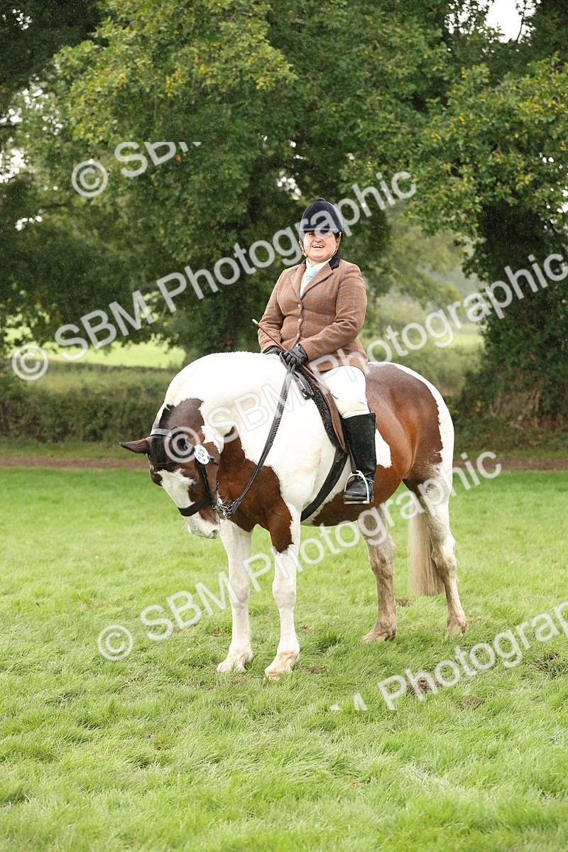 SBM_69838 - S69 - Show Cob Ridden