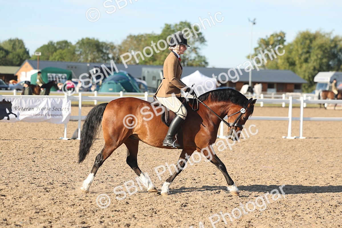 SBM_11008 - Class 302 - Ridden M&M Large Breeds