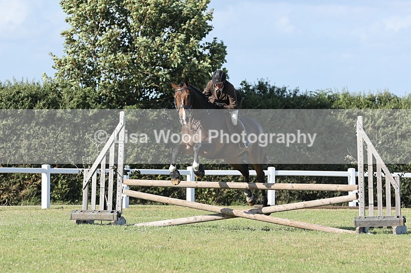 JPP_3077 - Class 21: Working Hunter 80cm