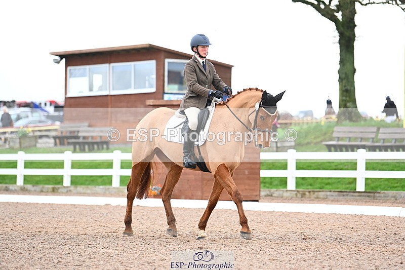 240218A-134952-07916 - 239-Sophie.Hawke-Dionysus