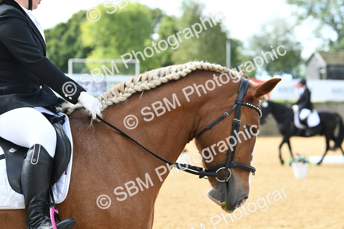SBM_03083 - D7 Small Tour Championship Prelim 1