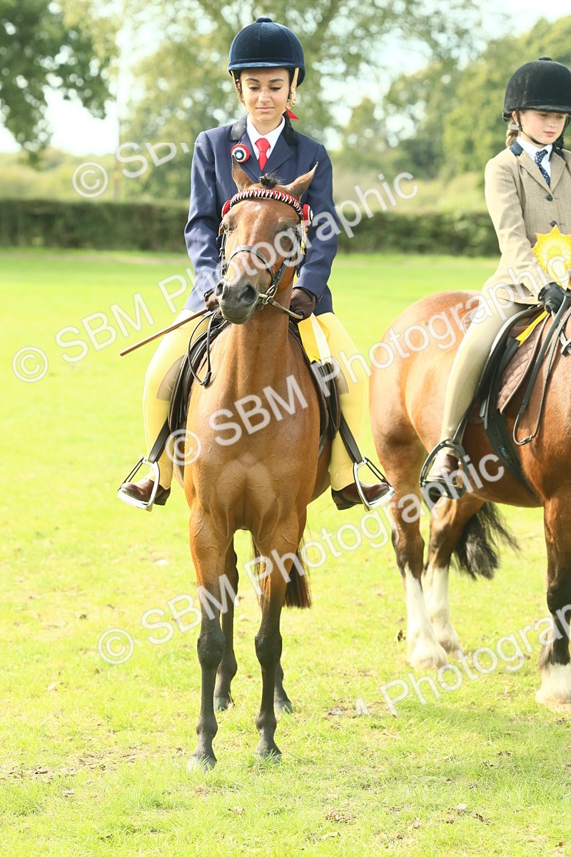 SBM_68162 - S57 - Part Bred Pony Ridden