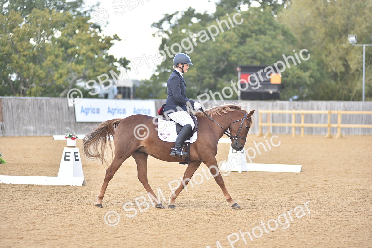 SBM_03046 - D4 - Small Tour Championship Intro 4
