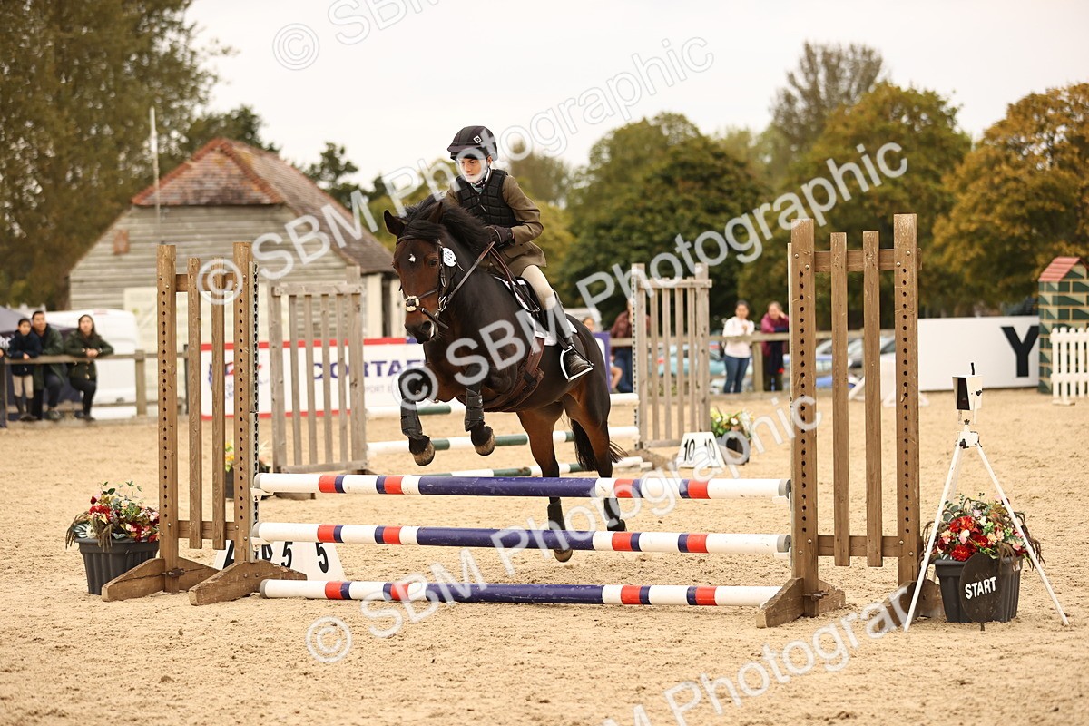 SBM_74207 - J14 - Junior Pony 65cm Championship