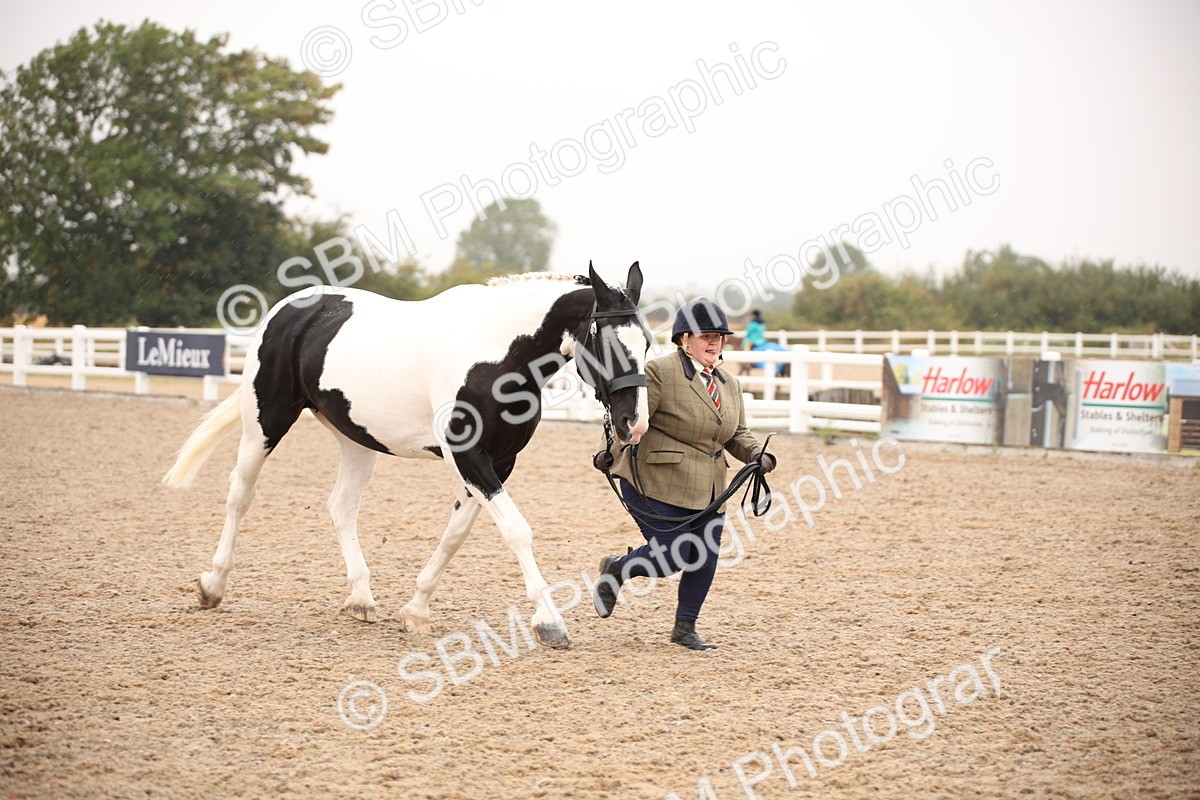 SBM_20190 - Class 703 - IH  Coloured