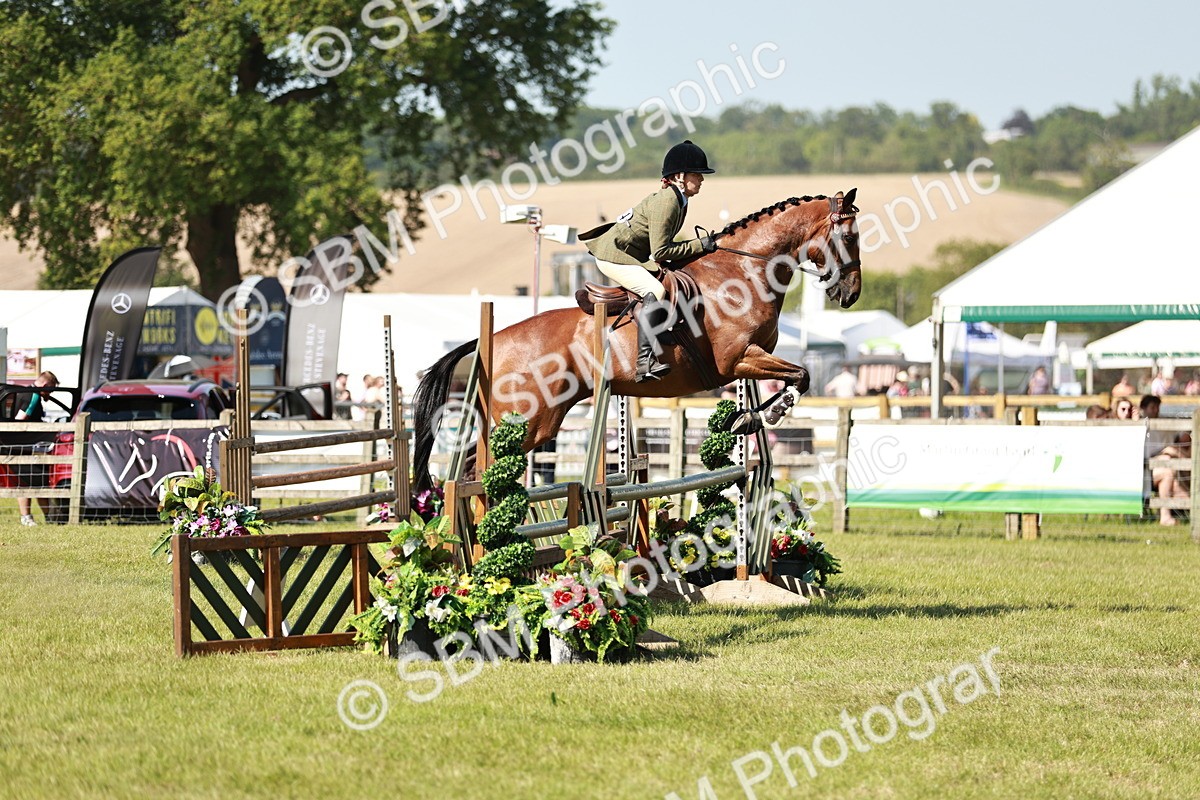 SBM_18825 - Class 114 - RIHS & SEIB Open Working Show Horse