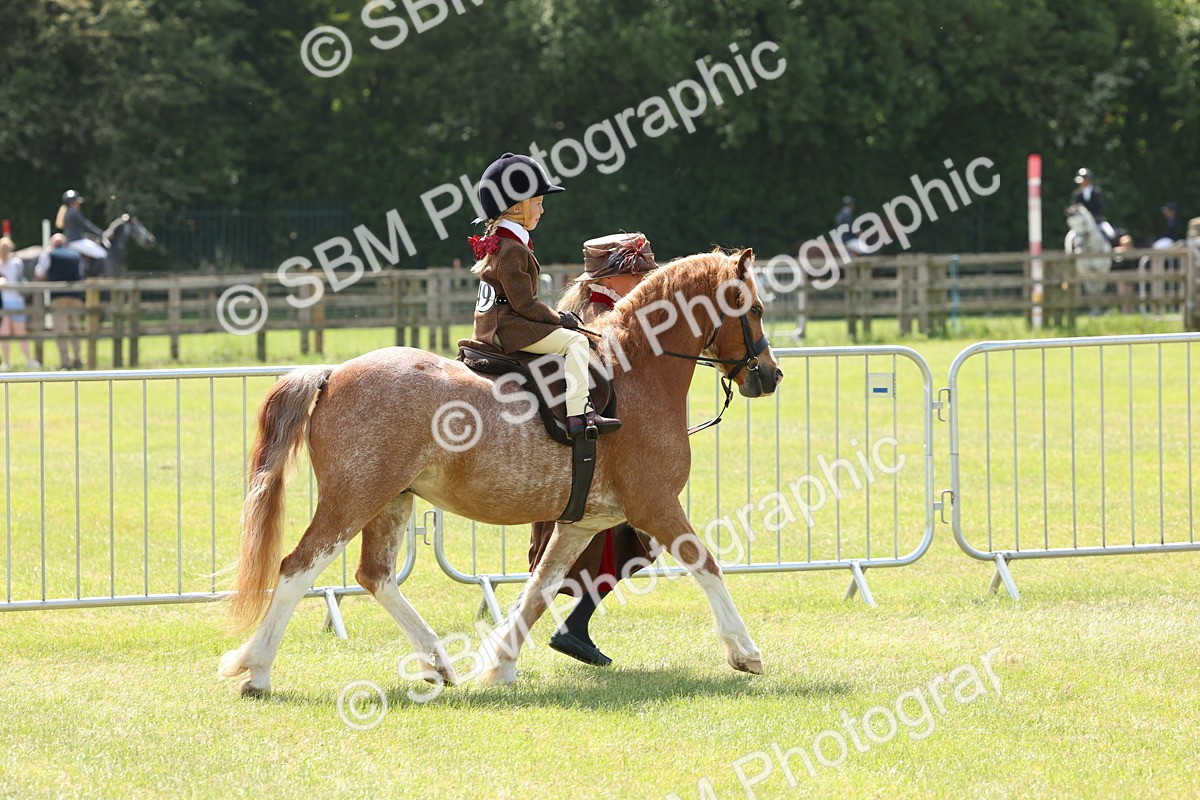 SBM_05228 - Class 24-25 - Mountain & Moorland In Hand Lead Rein and First Ridden