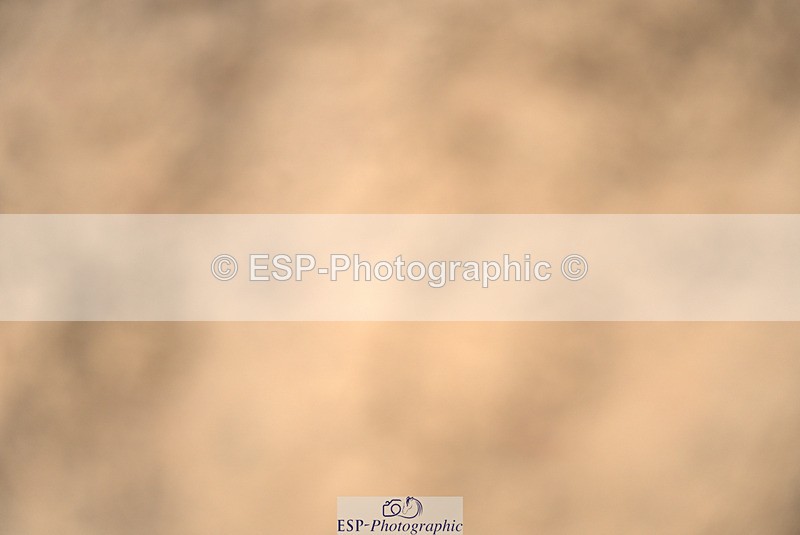 240317A-104549-05178 - Cls 25 Snr 1.20m Open
