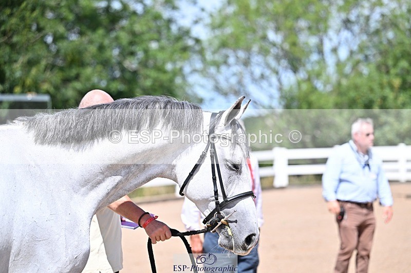 250716-122912-00009 - Trot Up 12.30 to 1.30