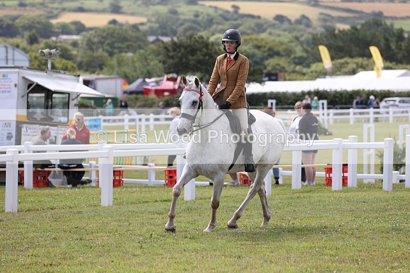 JPP_1417 - Class 17: Cornish Combination Open