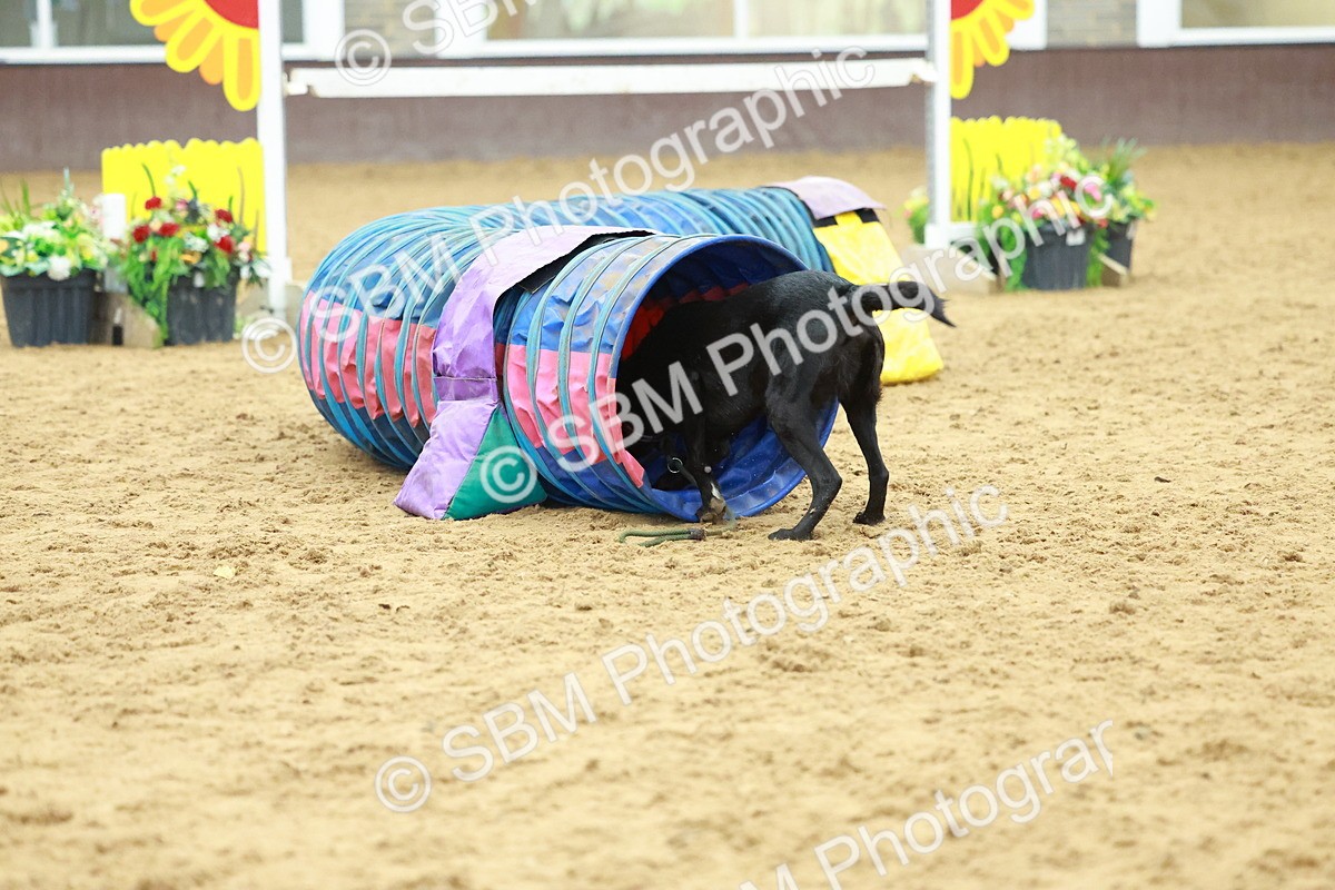 SBM_002576 - Class 3 - Horse & Hound (60cm)