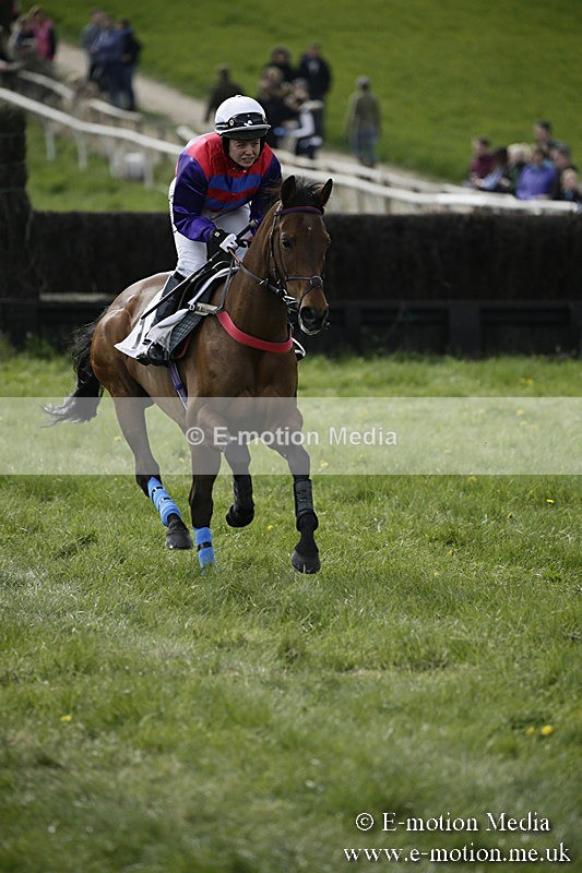 PtP 170417 425 - Old Berks Point-to-Point Lockinge 17/04/17
