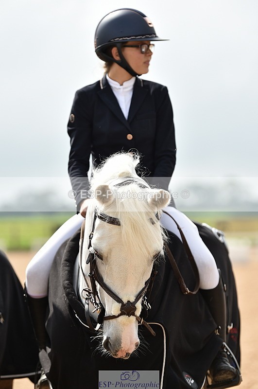 230902A-120234-00901 - Cls 2B Pony Small 80cm