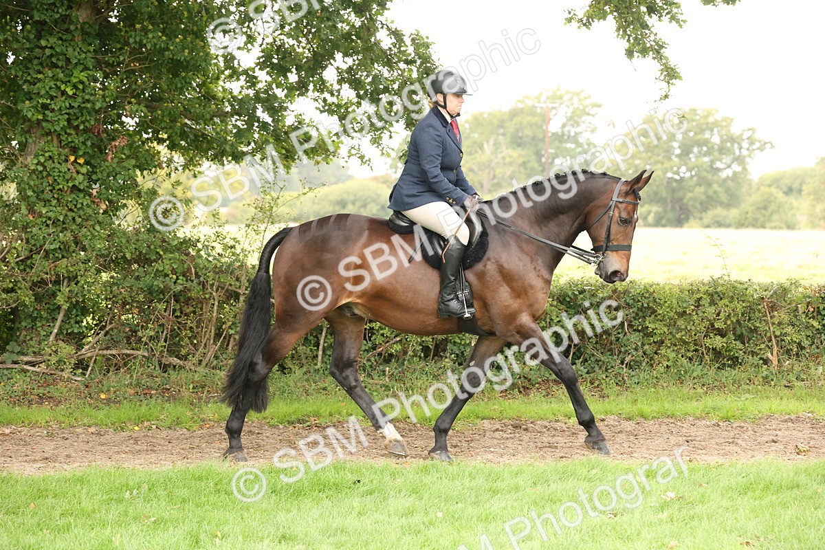 SBM_63000 - S64 - Foreign Breeds Ridden