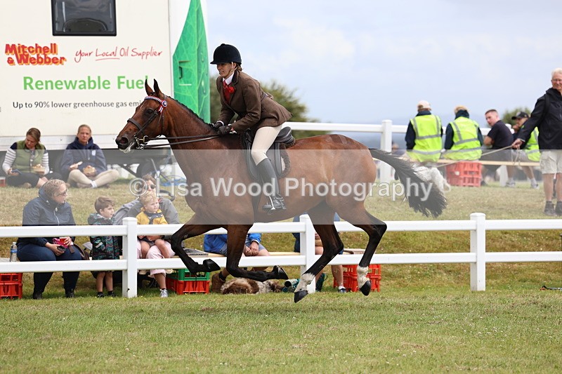 3E7A0992 - Class 8: Open Riding Horse/Hack