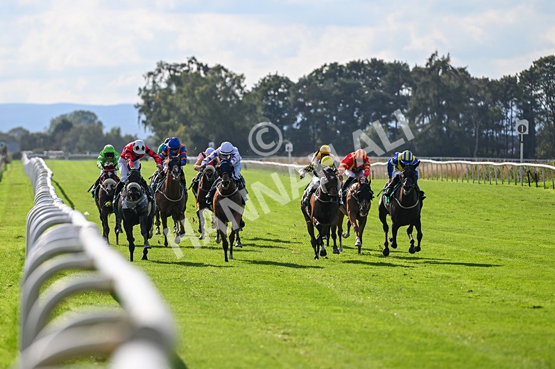 140926-Race 4-Lamlash Bay-7195 - Race 4 3.51pm Sapphire Selling Handicap
