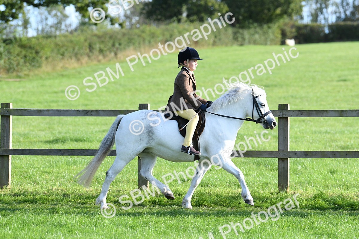 SBM_54018 - S23 - 1st Ridden Mountain & Moorland Pony