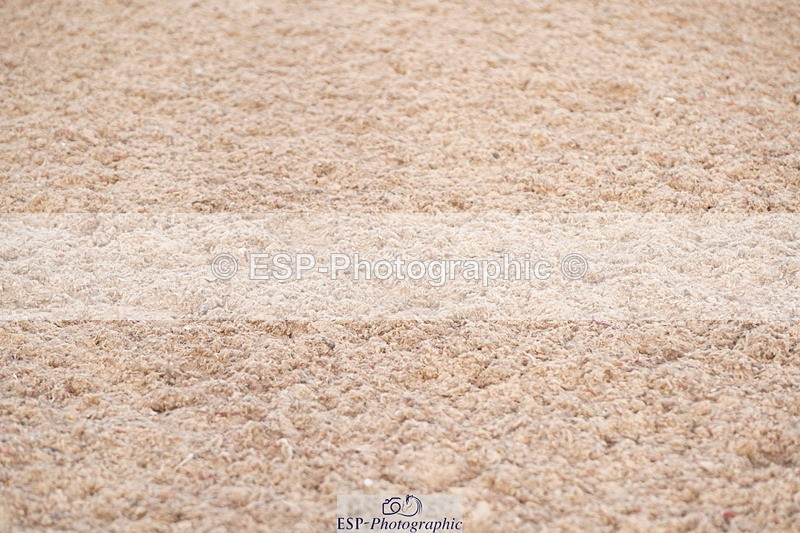 241005A-171426-05296 - SAT Cls 13 Nat 1.30m & 1.40m