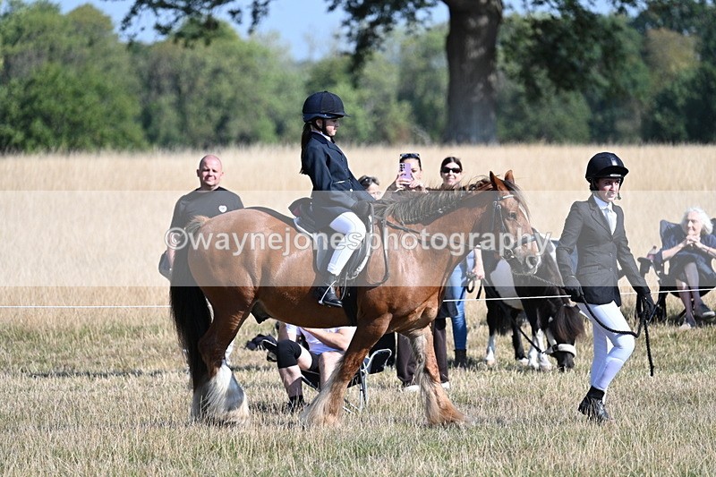 WJ7_3048 - Class 8 Ridden Tack & Turnout