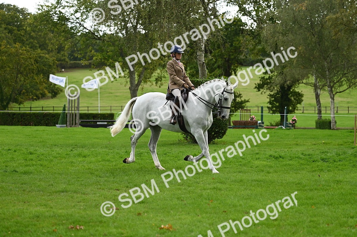 SBM_26358 - S6 - Novice & newcomer Ridden horse