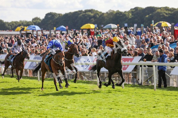240824-Race 6-Tropical Storm-9203 - Race 6 4.45pm Julia Graves Roses Stakes