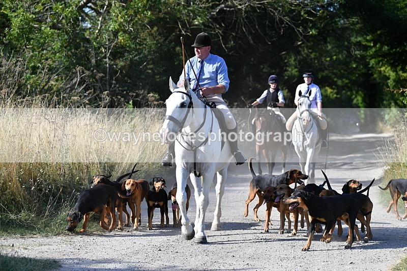 WJ5_4808 - Walk out with the hounds