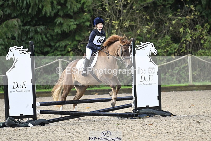 251005A-090122-02910 - Cls 02 GR 50cm